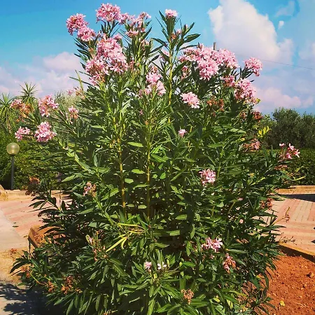 Semesterbostad La Casa Di Eolo San Leone