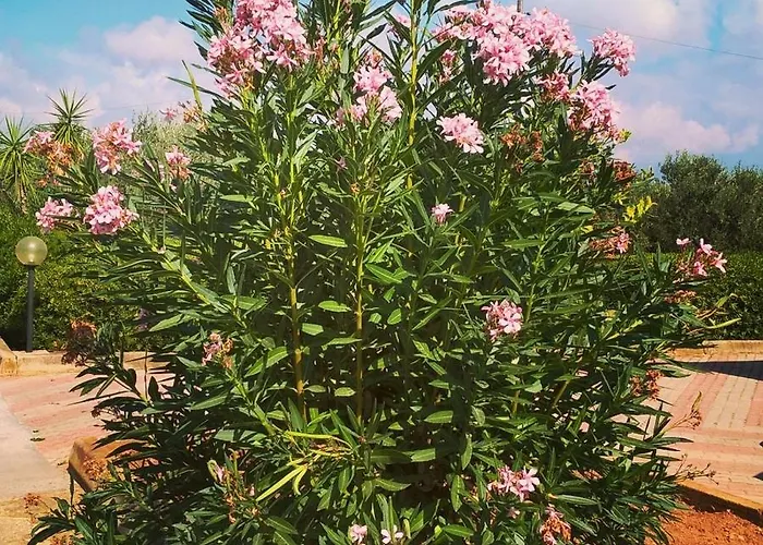 Semesterbostad La Casa Di Eolo San Leone